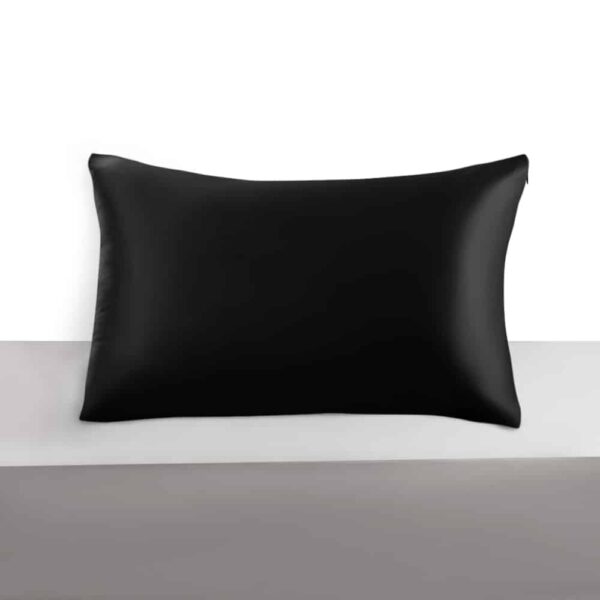 Mulberry Silk Pillowcase with Zipper, 22 Momme, 50×70